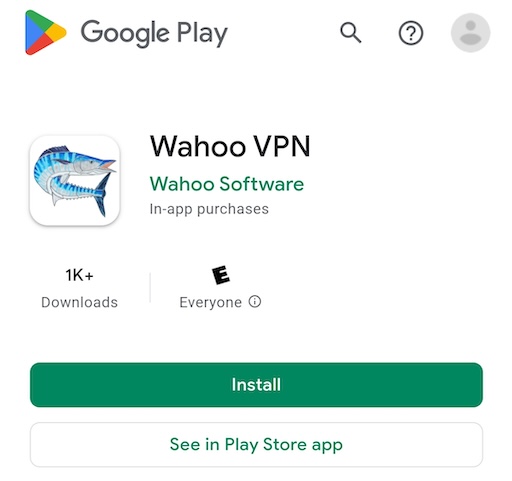 Search Wahoo VPN in App Store and tap Get