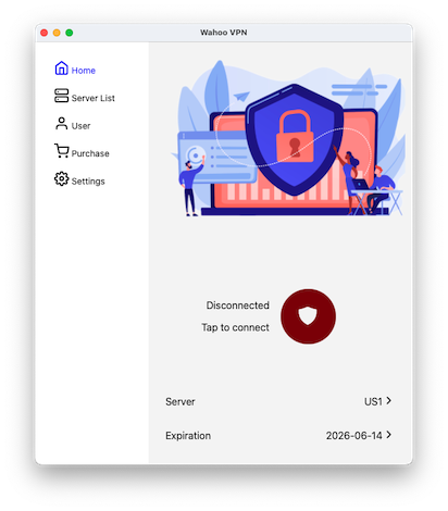 VPN Connection Button