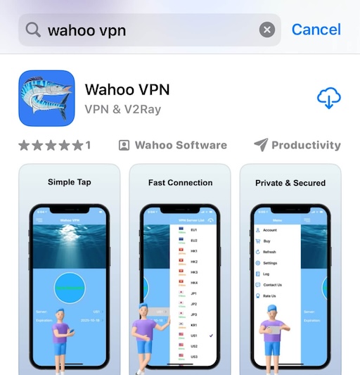 Wahoo VPN iOS 安装步骤1
