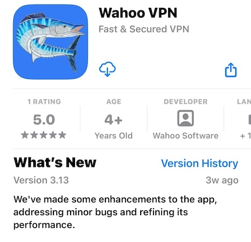 Search Wahoo VPN in App Store and tap Get