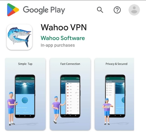第一步：iOS 主屏幕上的 Wahoo VPN 应用图标
