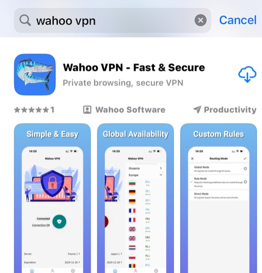 第一步：iOS 主屏幕上的 Wahoo VPN 应用图标